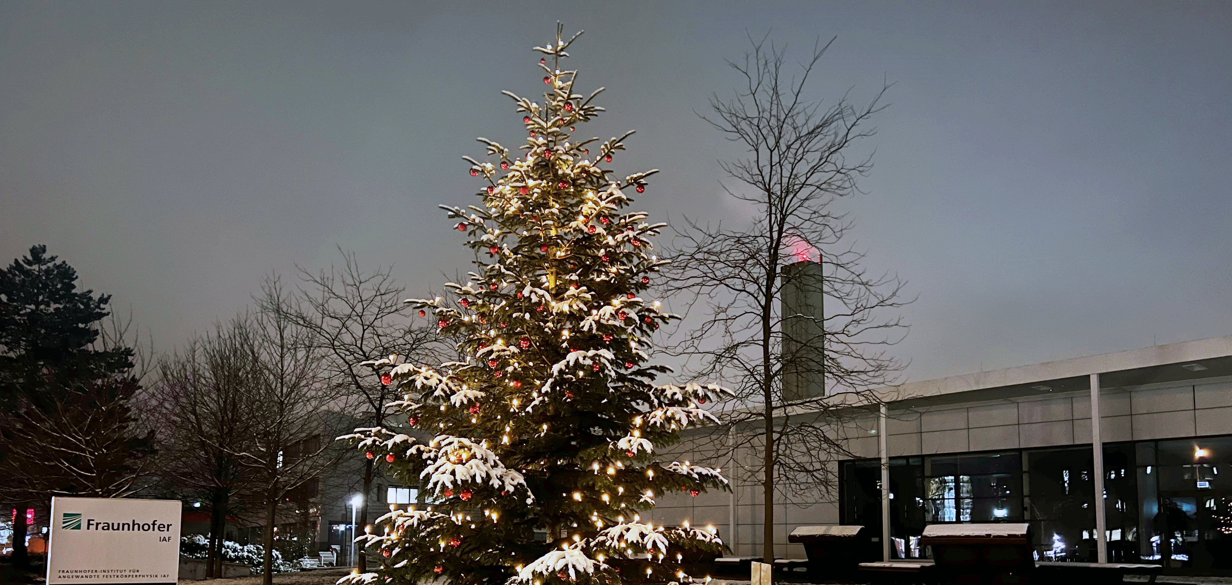 Weihnachtsbaum des Fraunhofer IAF