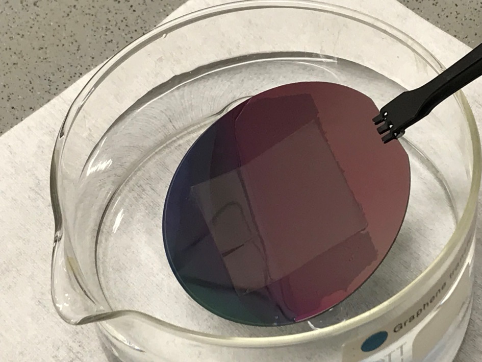 Graphene is transferred onto aluminum nitride in a water bath.
